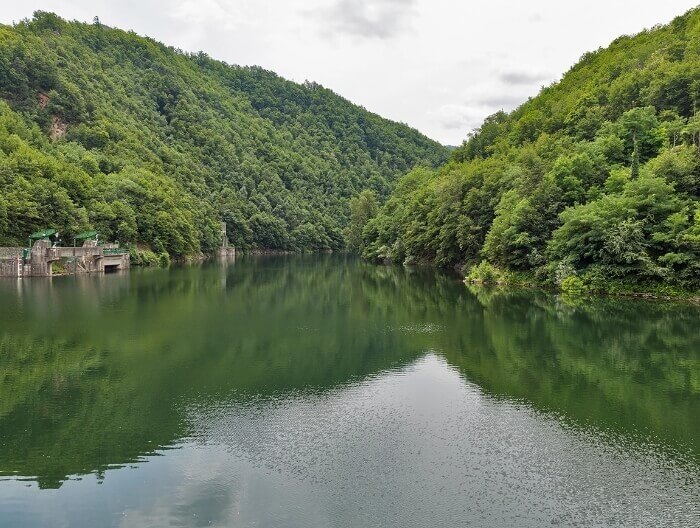 Natural Water Stream
